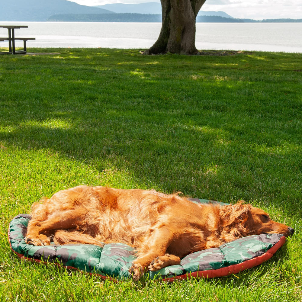 Furhaven Trail Pup Travel Bed washable cover for quick cleanup after adventures.