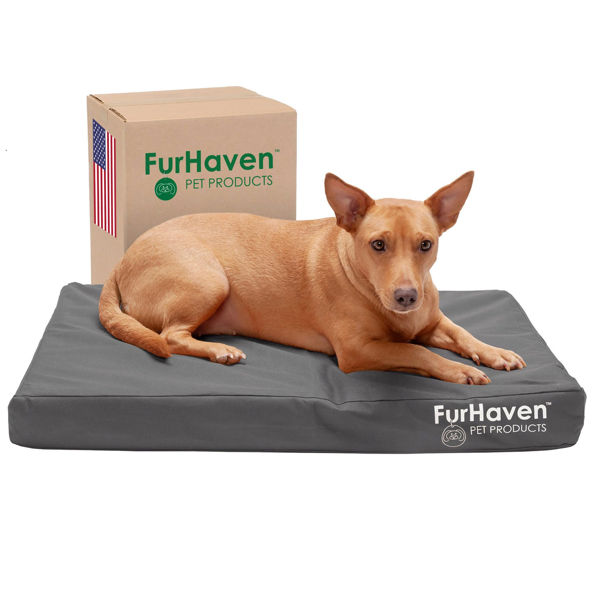 Furhaven water-resistant cover on dog bed in stone gray, outdoor-ready protection.