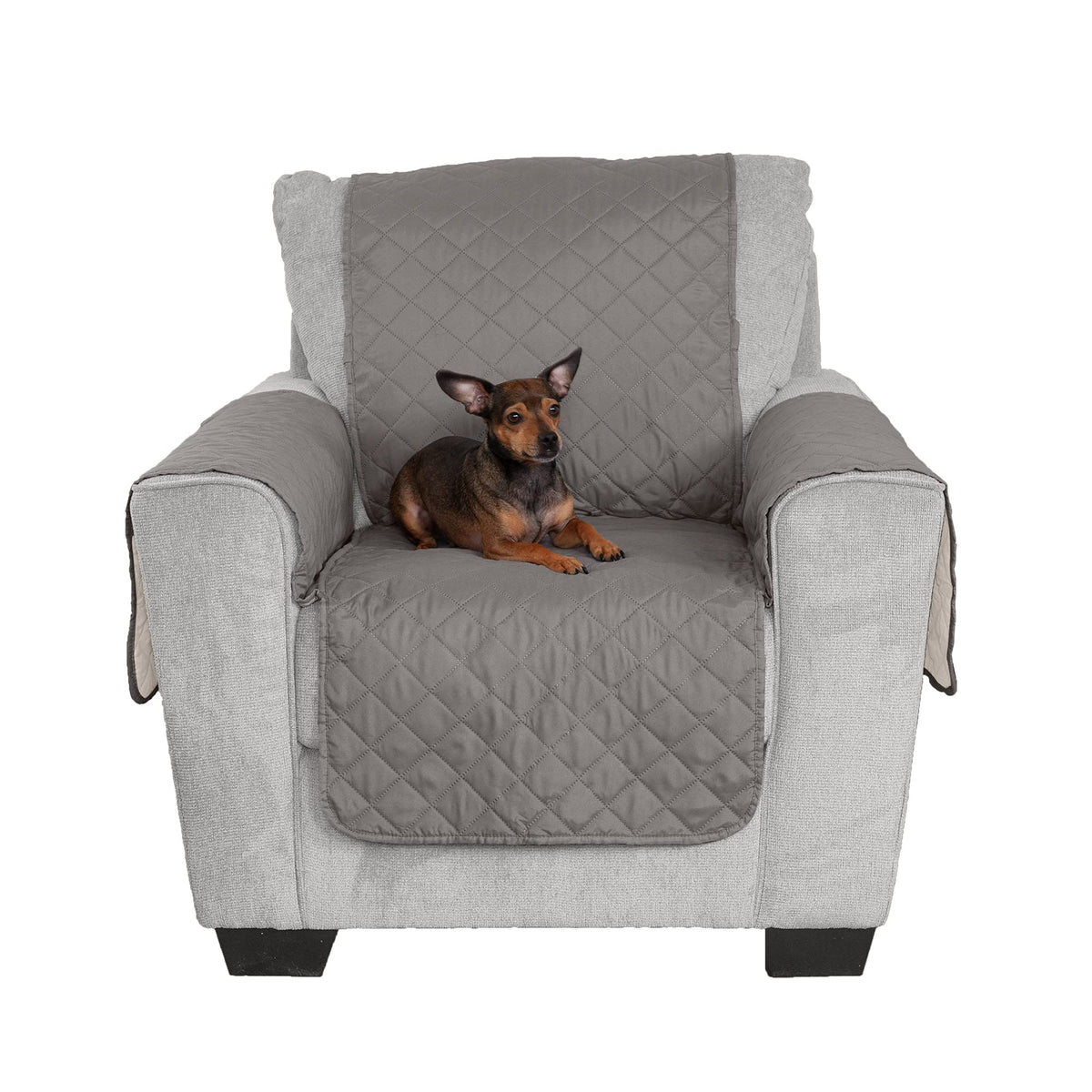 Furhaven water-resistant reversible chair cover in gray-mist protects furniture from spills.