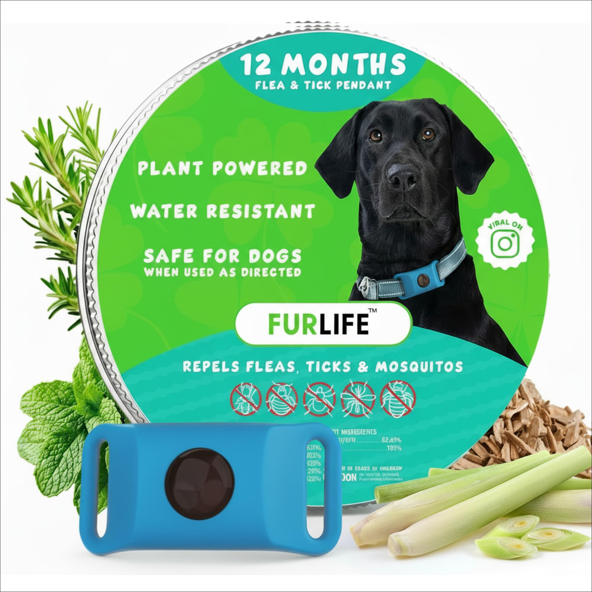 FurLife Blue Dog Tag on collar showing daily lightweight protection.