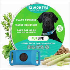 FurLife Blue Dog Tag on collar showing daily lightweight protection.