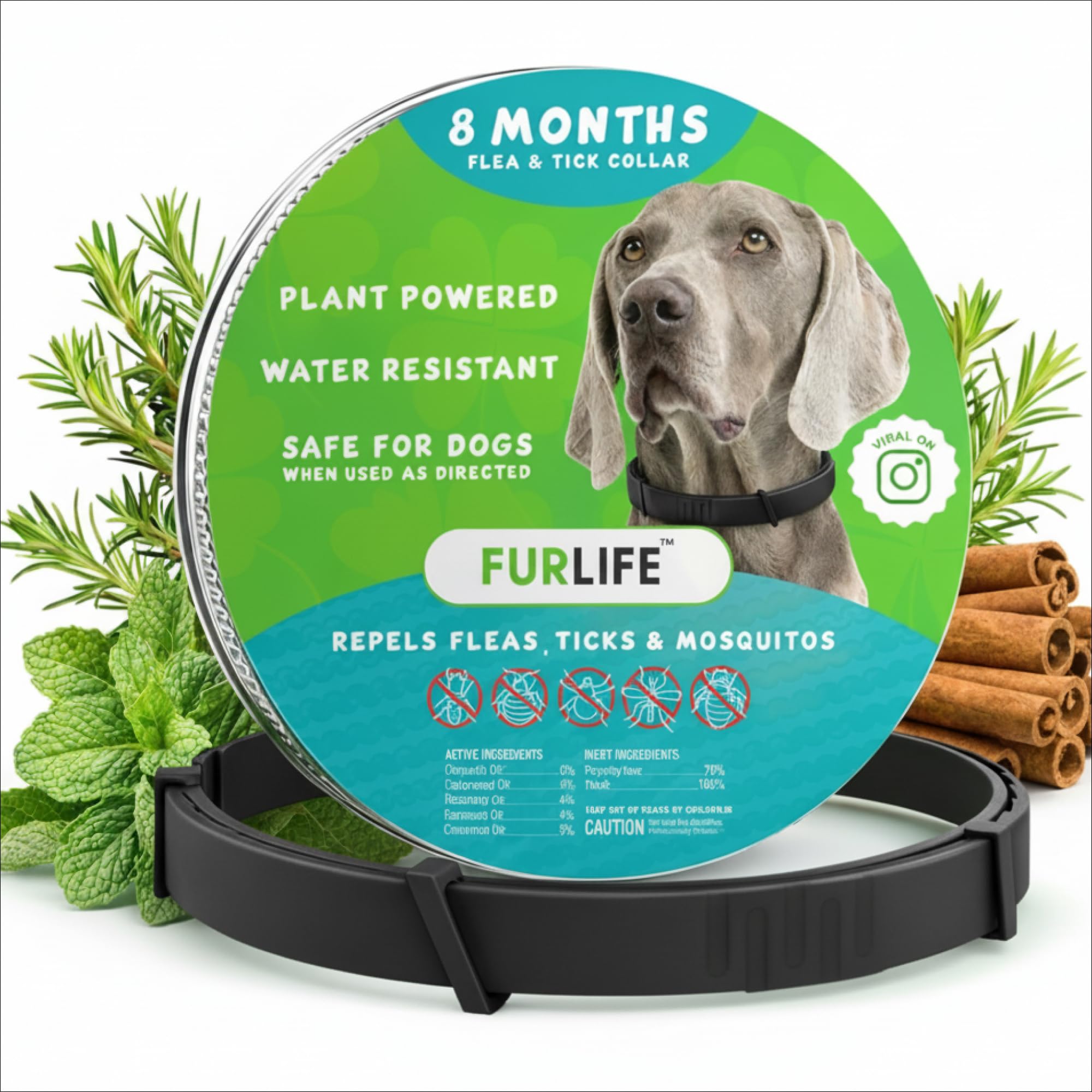 FurLife flea and tick collar for dogs, waterproof for outdoor adventures.