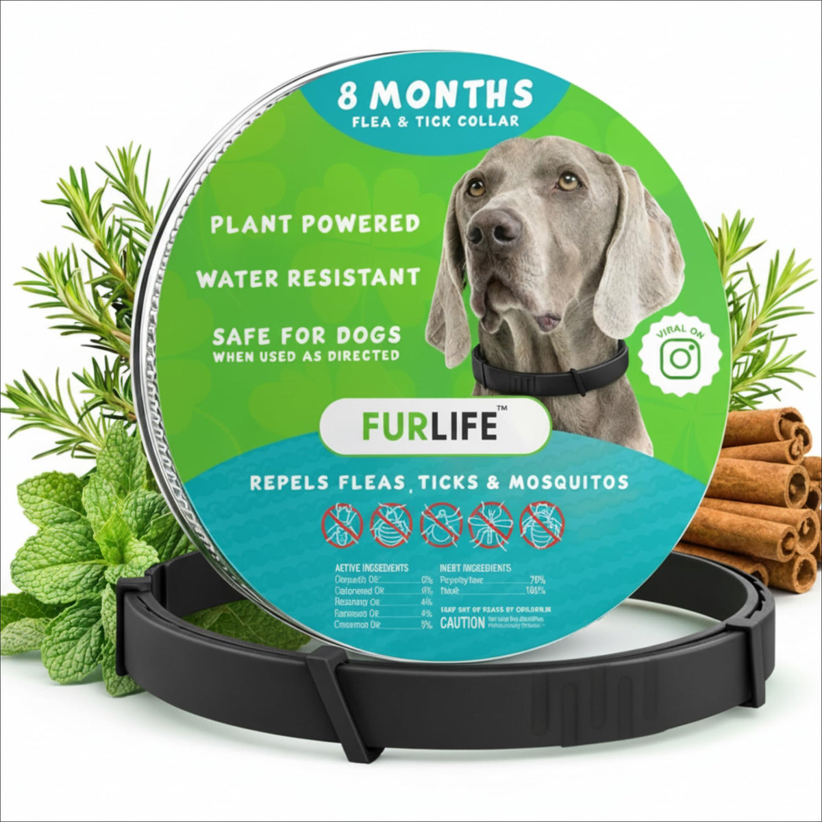 FurLife flea and tick collar for dogs, waterproof for outdoor adventures.
