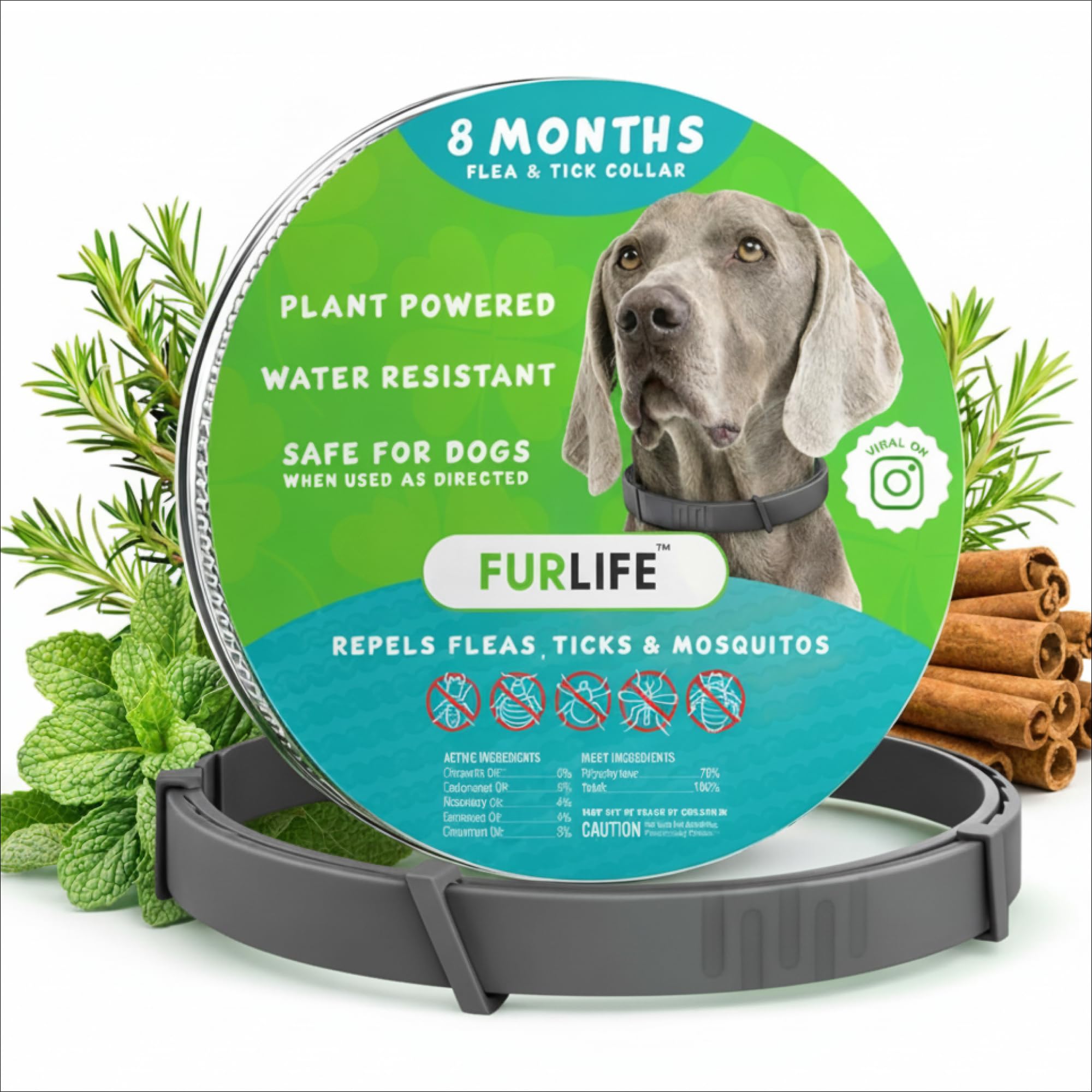 FurLife flea and tick collar for dogs is waterproof and grey for all-weather wear.