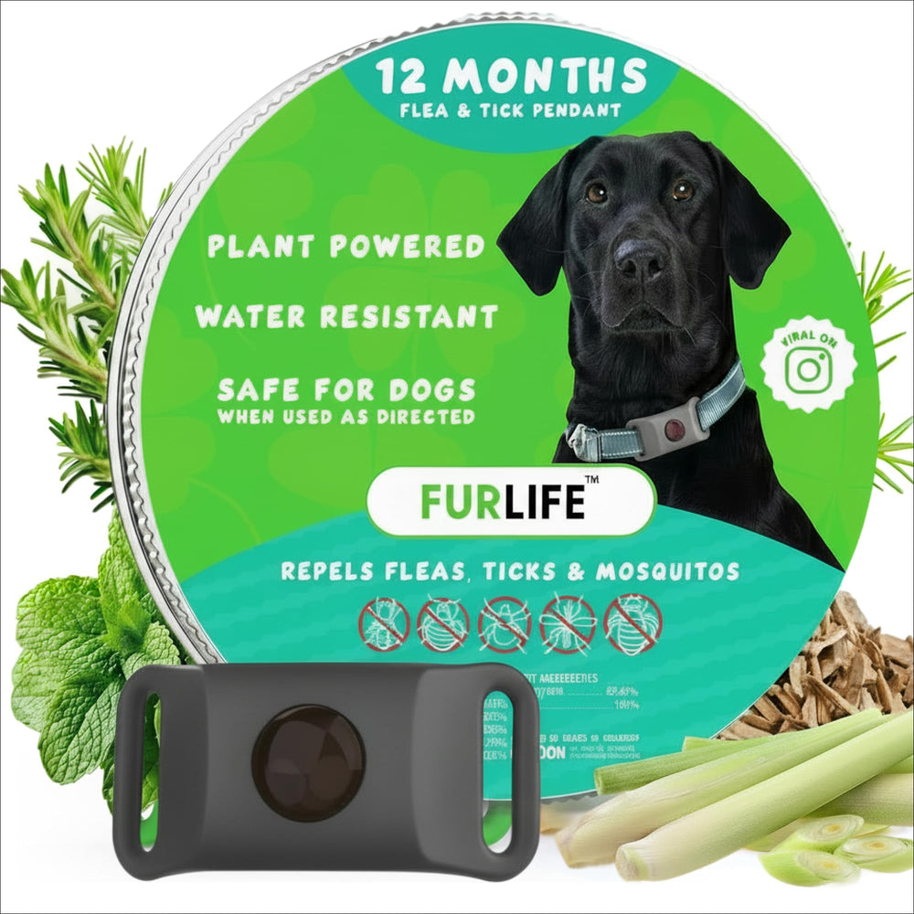 FurLife Grey Dog Tag waterproof pendant on a collar for all-season wear.