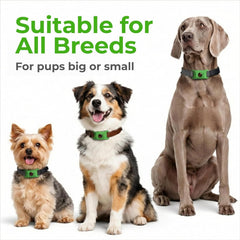 FurLife lightweight tag fits all dog breeds and sizes