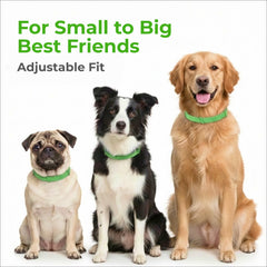 FurLife long-protection collar provides months of continuous flea and tick prevention.