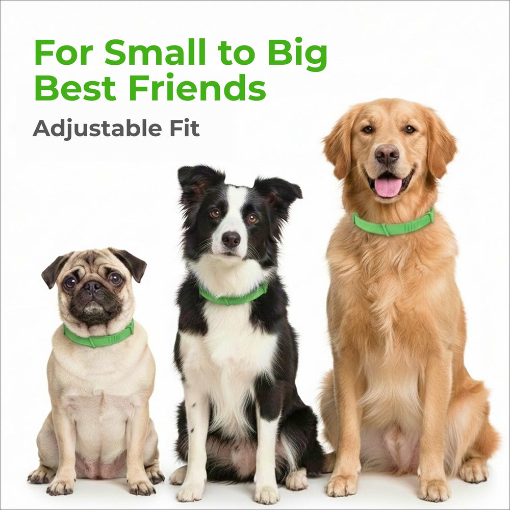 FurLife puppy-friendly adjustable collar suitable for growing dogs
