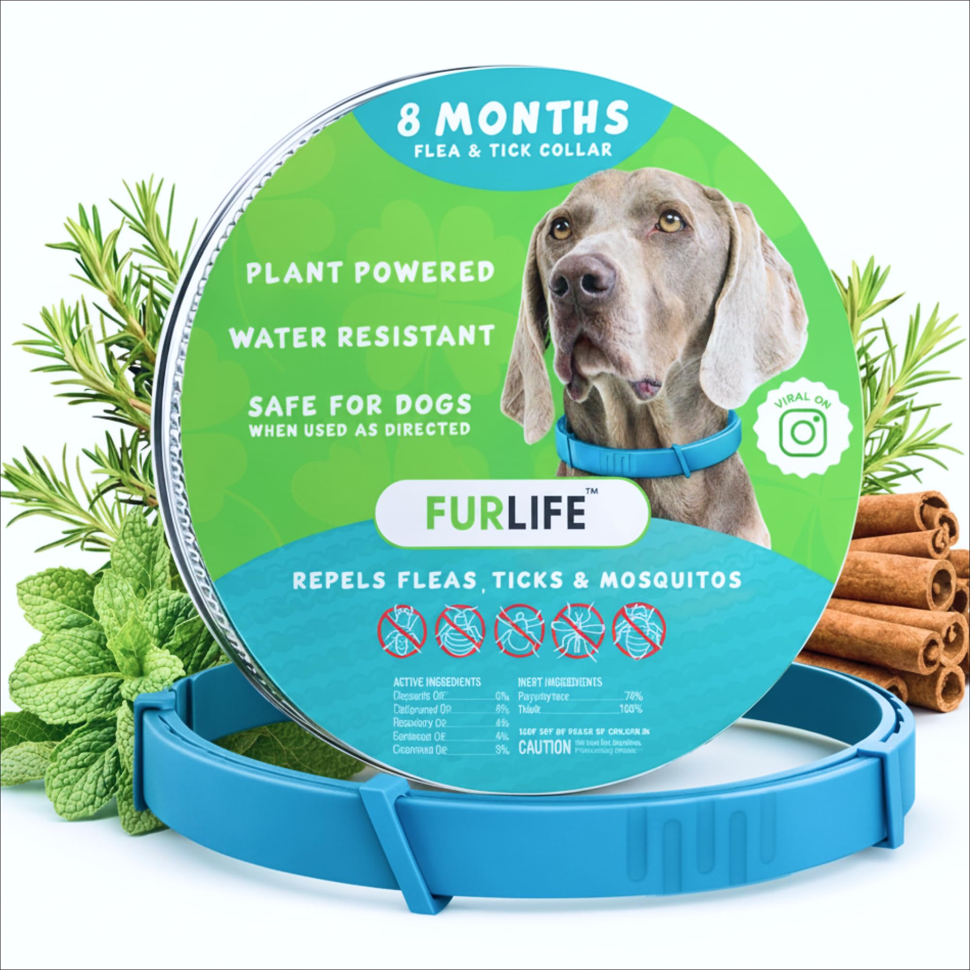 FurLife waterproof blue dog collar for all-weather use