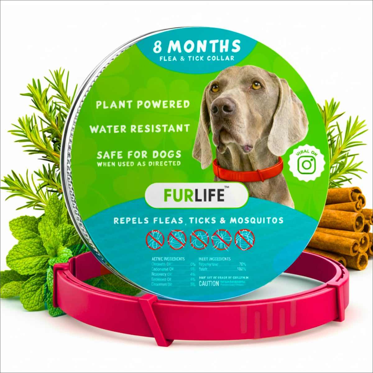 FurLife waterproof dog collar closeup showing durable buckle and all-breed suitability.
