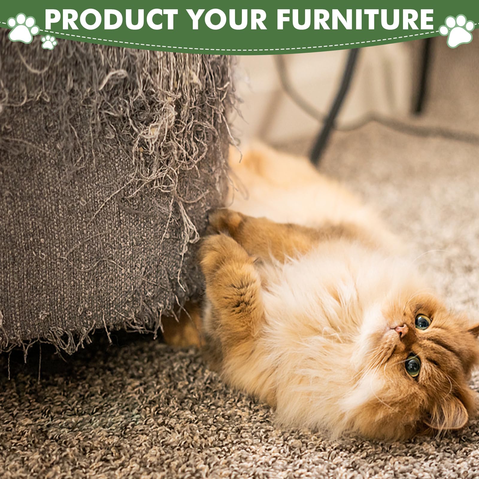 Furlogy 3 Interactive Balls add playful engagement and keep claws active.