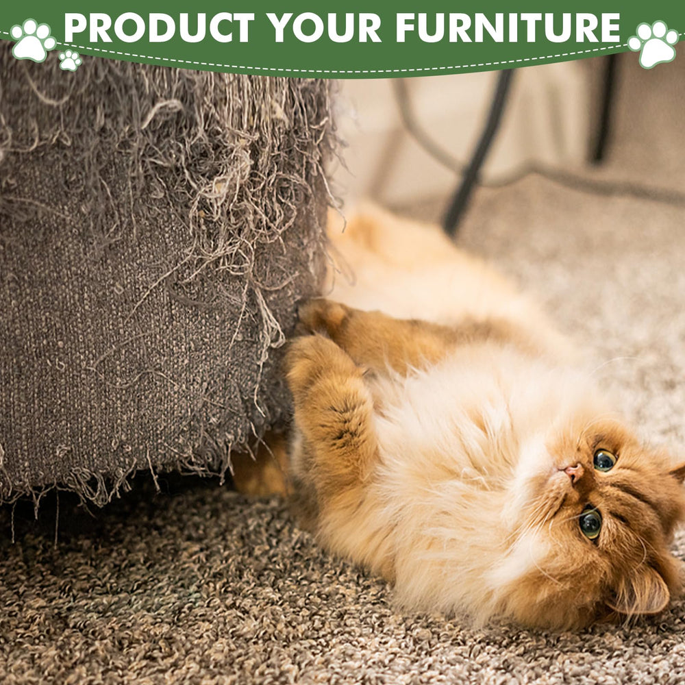 Furlogy 3 Interactive Balls add playful engagement and keep claws active.