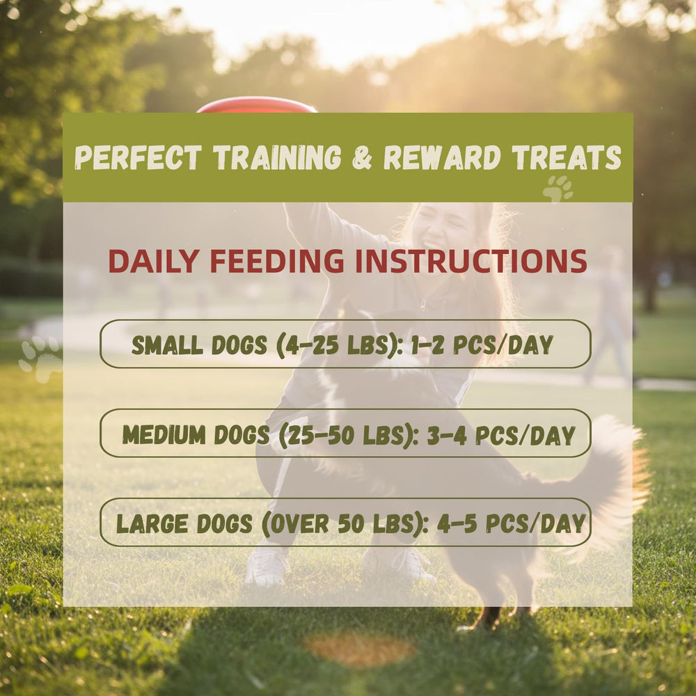 Furmate dental-care chewy texture dog treat for oral care during playtime