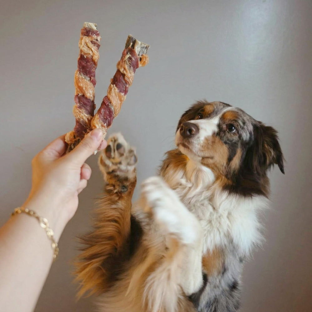 Furmate training treats reward dogs during training sessions.