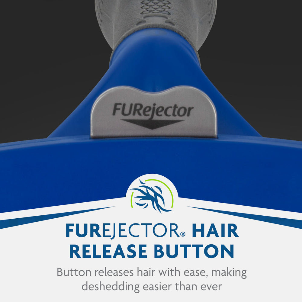 FURminator supports a daily grooming routine for better coat health.
