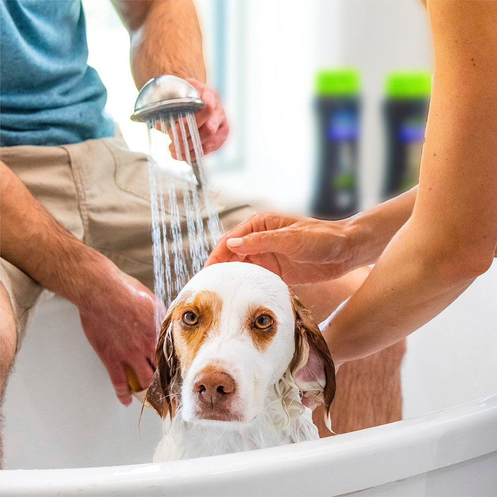 Dog coat being treated with Waterless Spray for quick conditioning