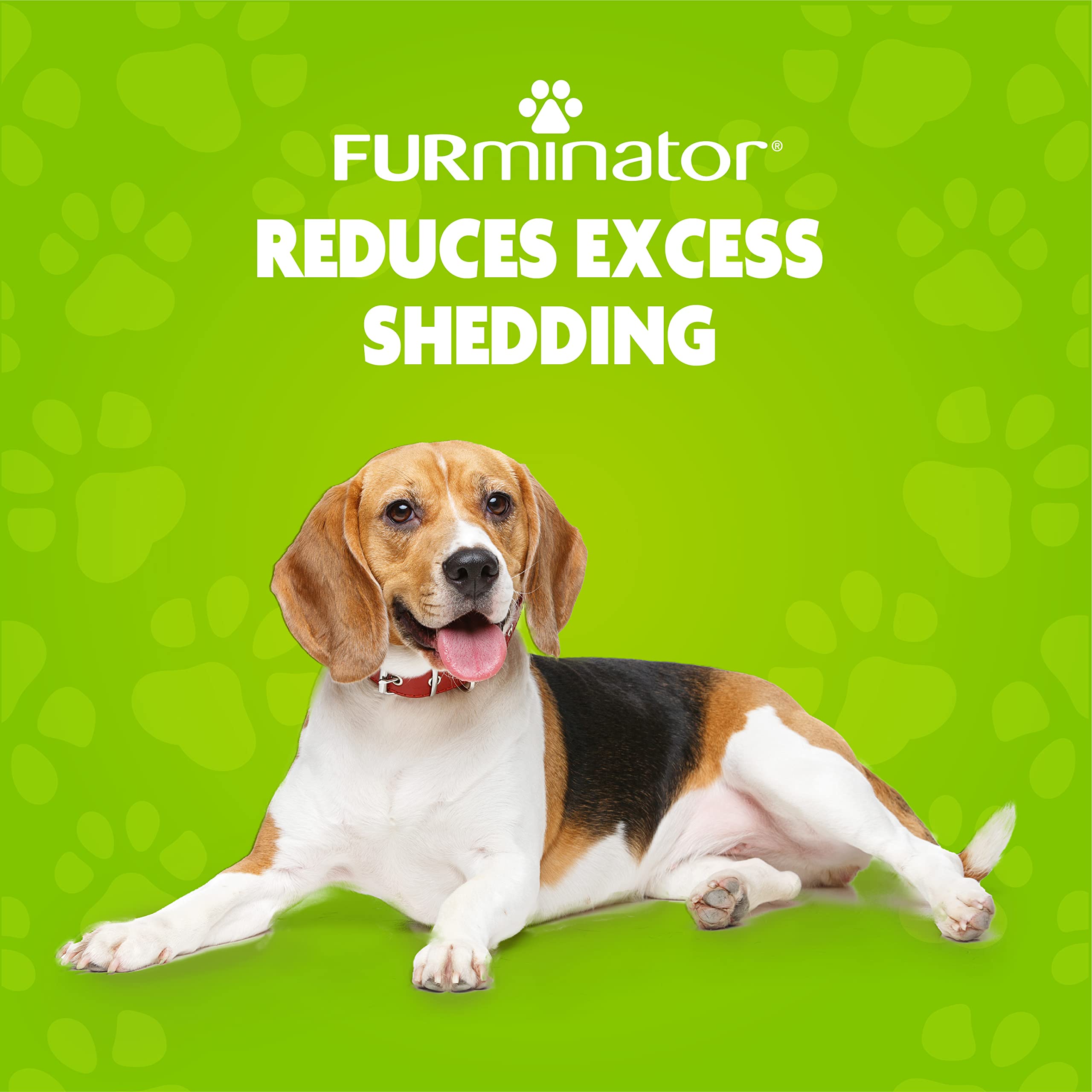 Shampoo lather on dog coat from FURminator deShedding Shampoo