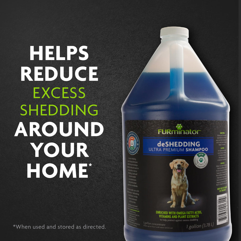 Lathering up FURminator deshedding shampoo on a dog's coat