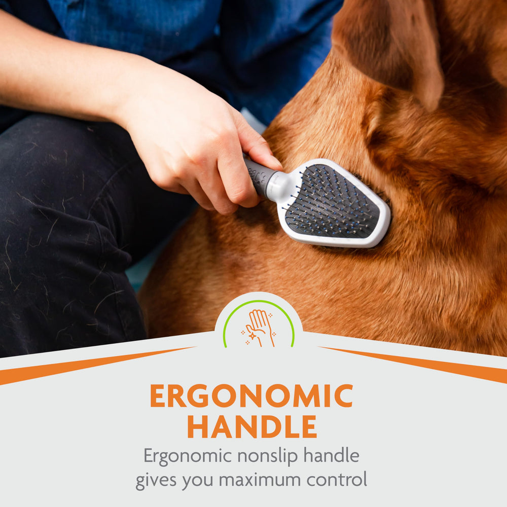 FURminator Dual Grooming Brush reduces tangles and promotes a healthy-looking coat.