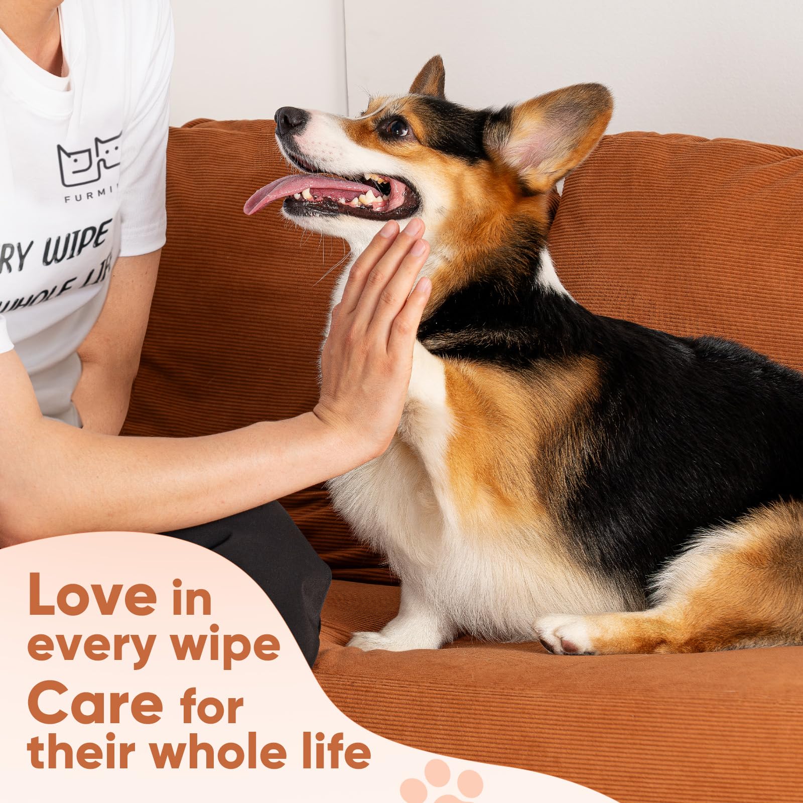 Furmini pet hygiene wipes support safe face, paws, and coat care.