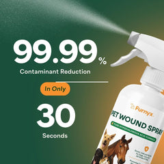 Cat facial area treatment with Furnyx spray for sensitive skin comfort.