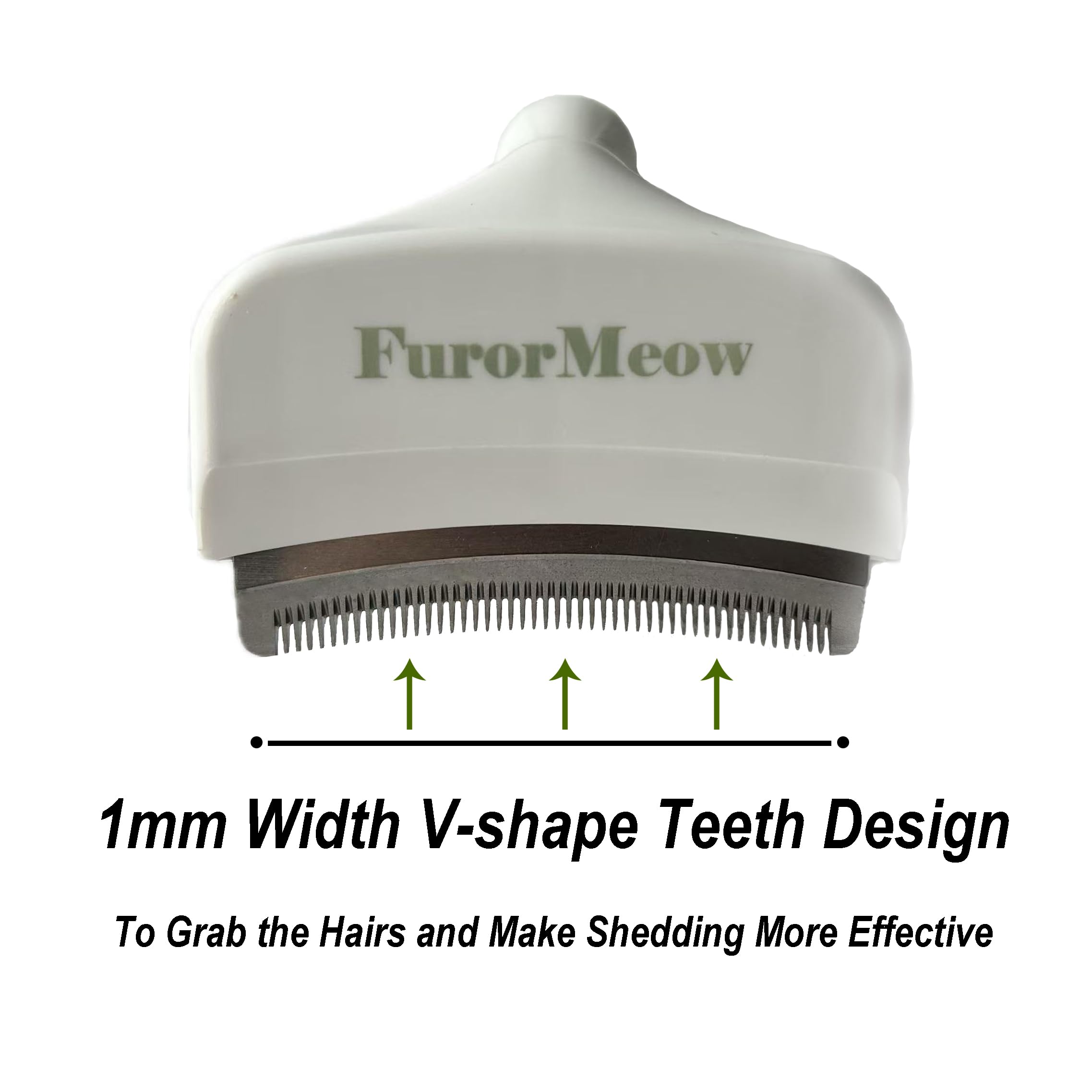 FurorMeow V-shaped teeth close-up showing 1 mm gaps.