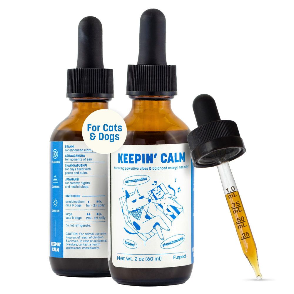 Furpect Keepin' Calm drops bottle close-up for natural pet stress relief.