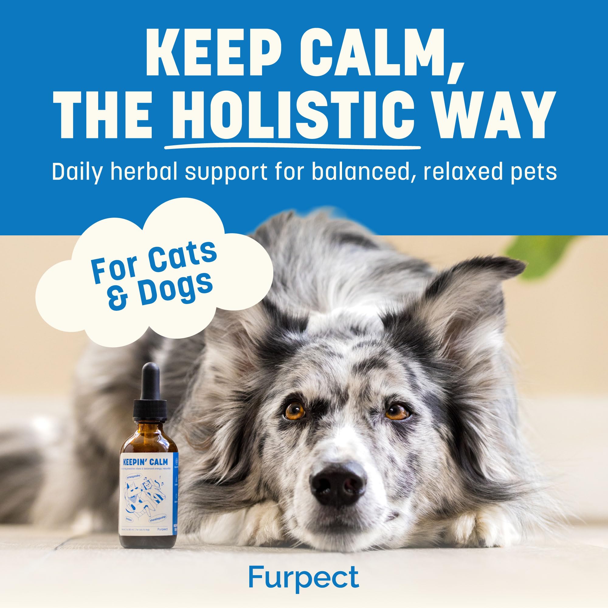 Furpect Keepin' Calm drops chicken-flavor dispenser demonstrates pet-friendly administration.