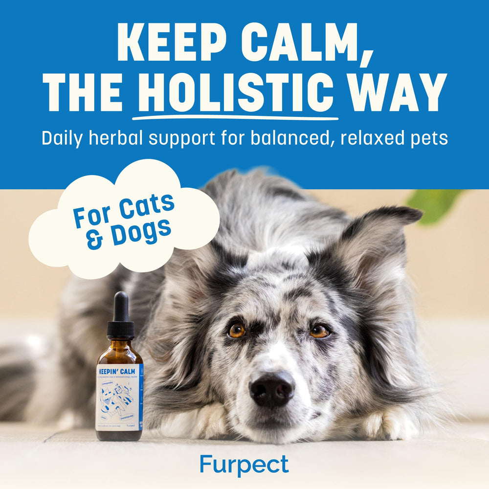 Furpect Keepin' Calm drops chicken-flavor dispenser demonstrates pet-friendly administration.