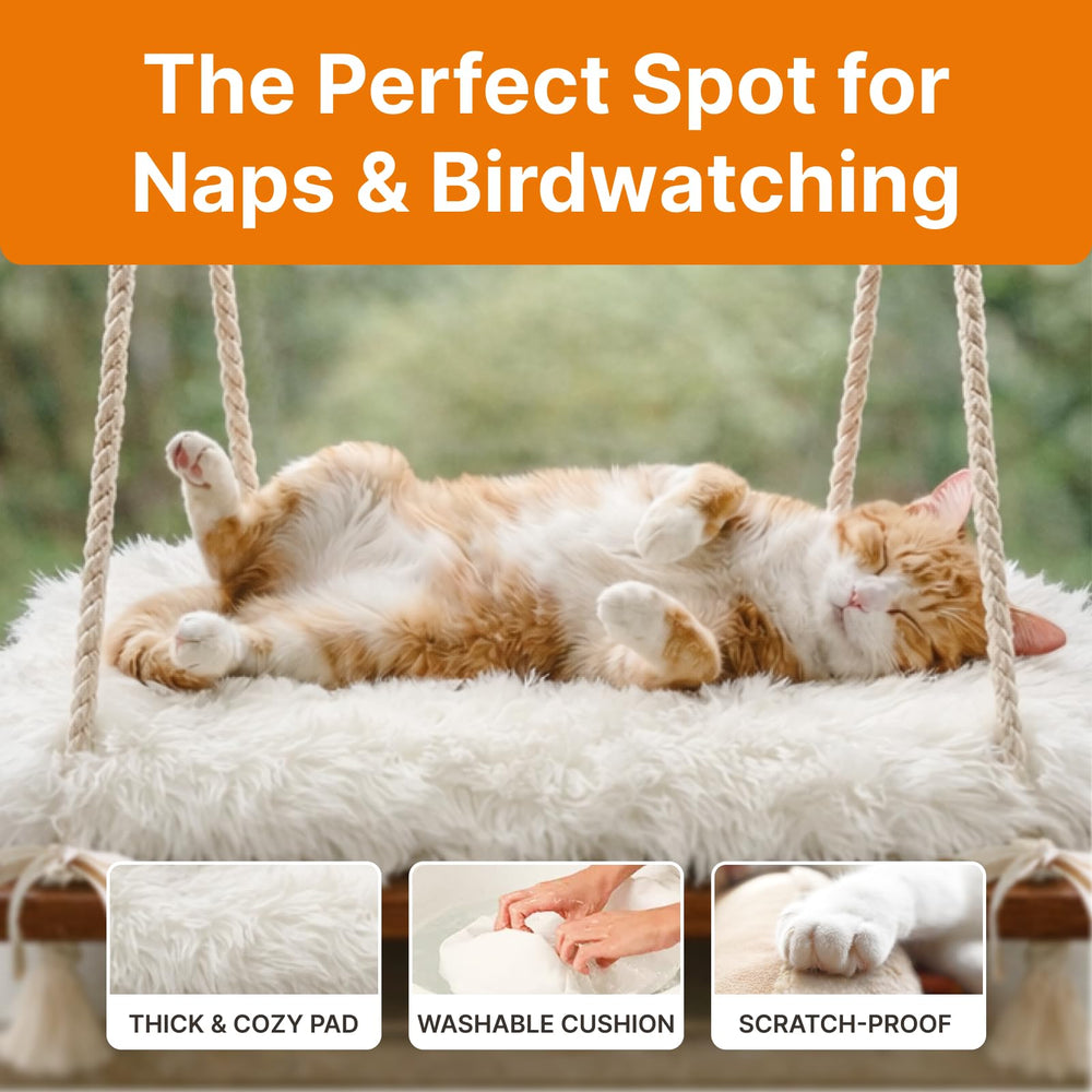 Furrfinity Cat Hammock supports up to 42 lbs for confident lounging.
