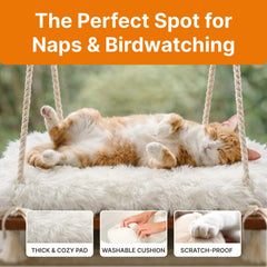 Furrfinity Cat Hammock supports up to 42 lbs for confident lounging.