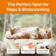 Furrfinity cat window perch 42 lb capacity supports sturdy lounging.