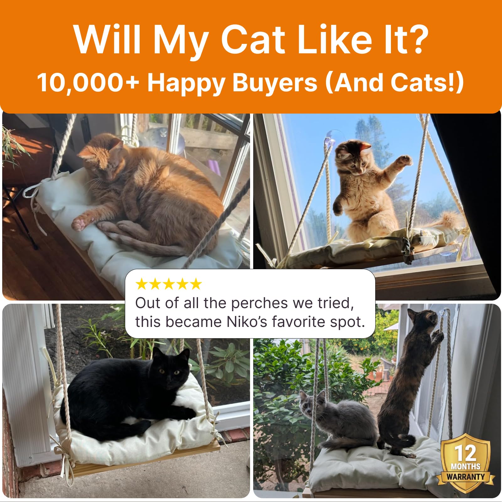 Furrfinity cat window perch premium pine wood for lasting comfort.