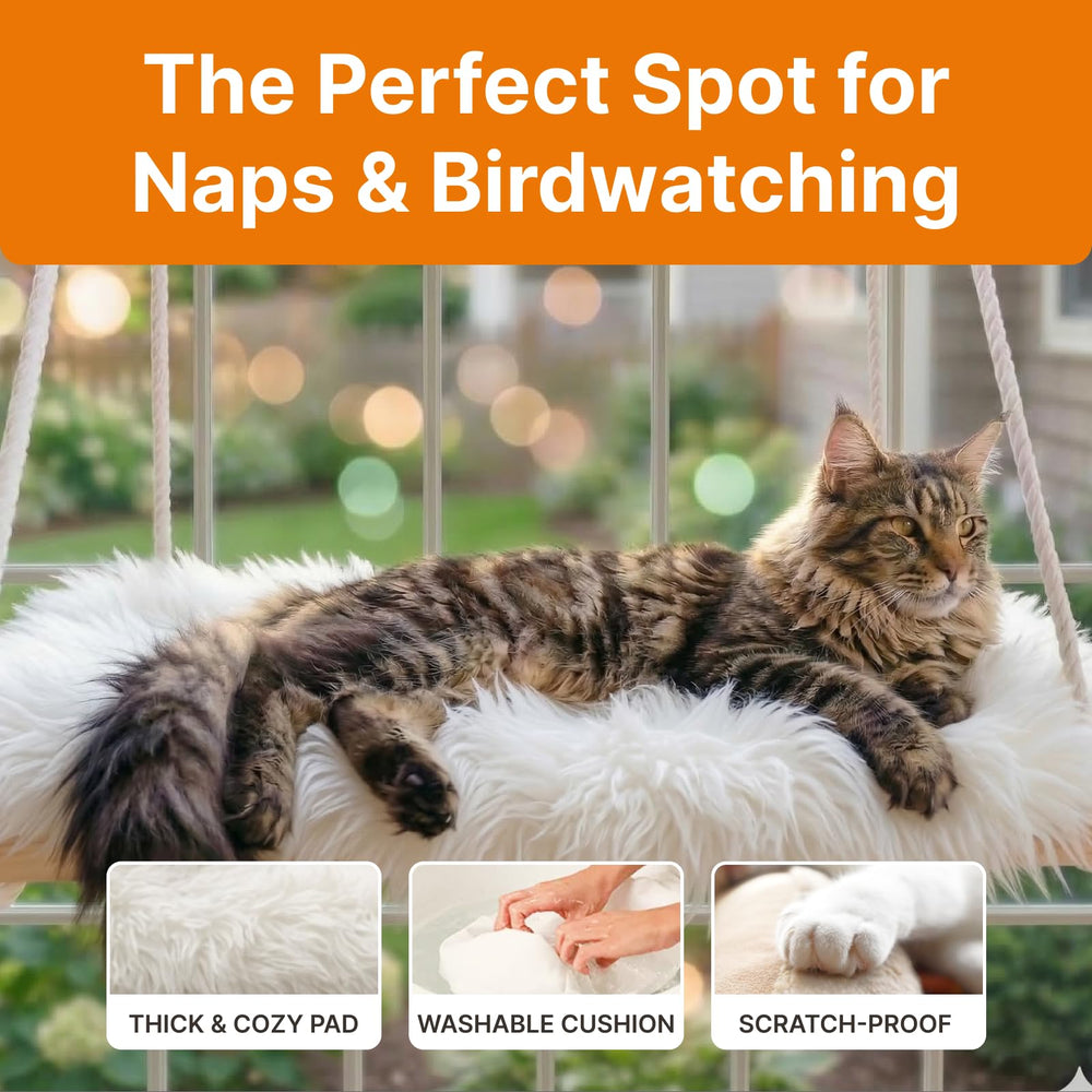 Solid pine wood frame supports heavy cats