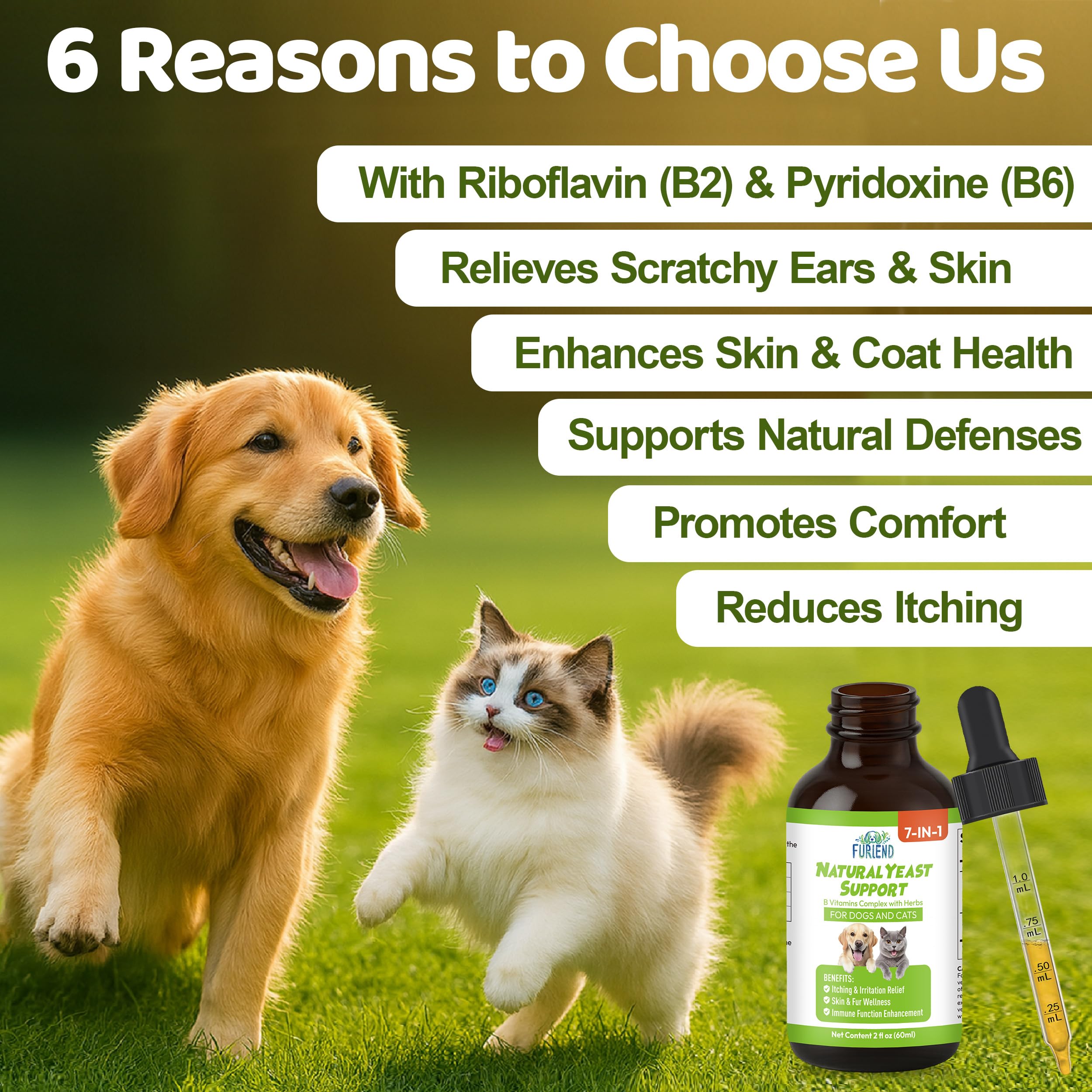 FURIEND skin and coat support for dogs and cats with healthy fur maintenance.