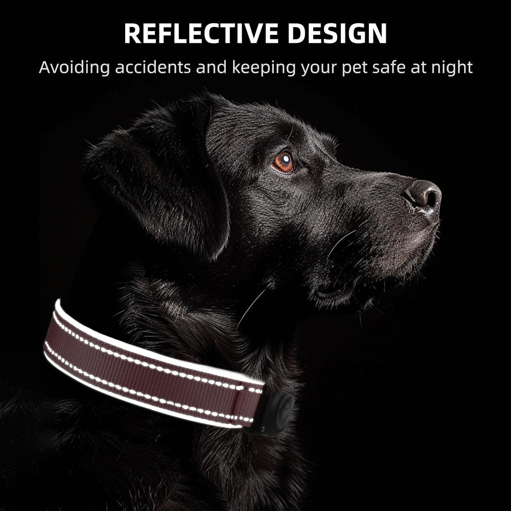 Furrigo AirTag dog collar adjustable strap for a perfect fit across breeds.