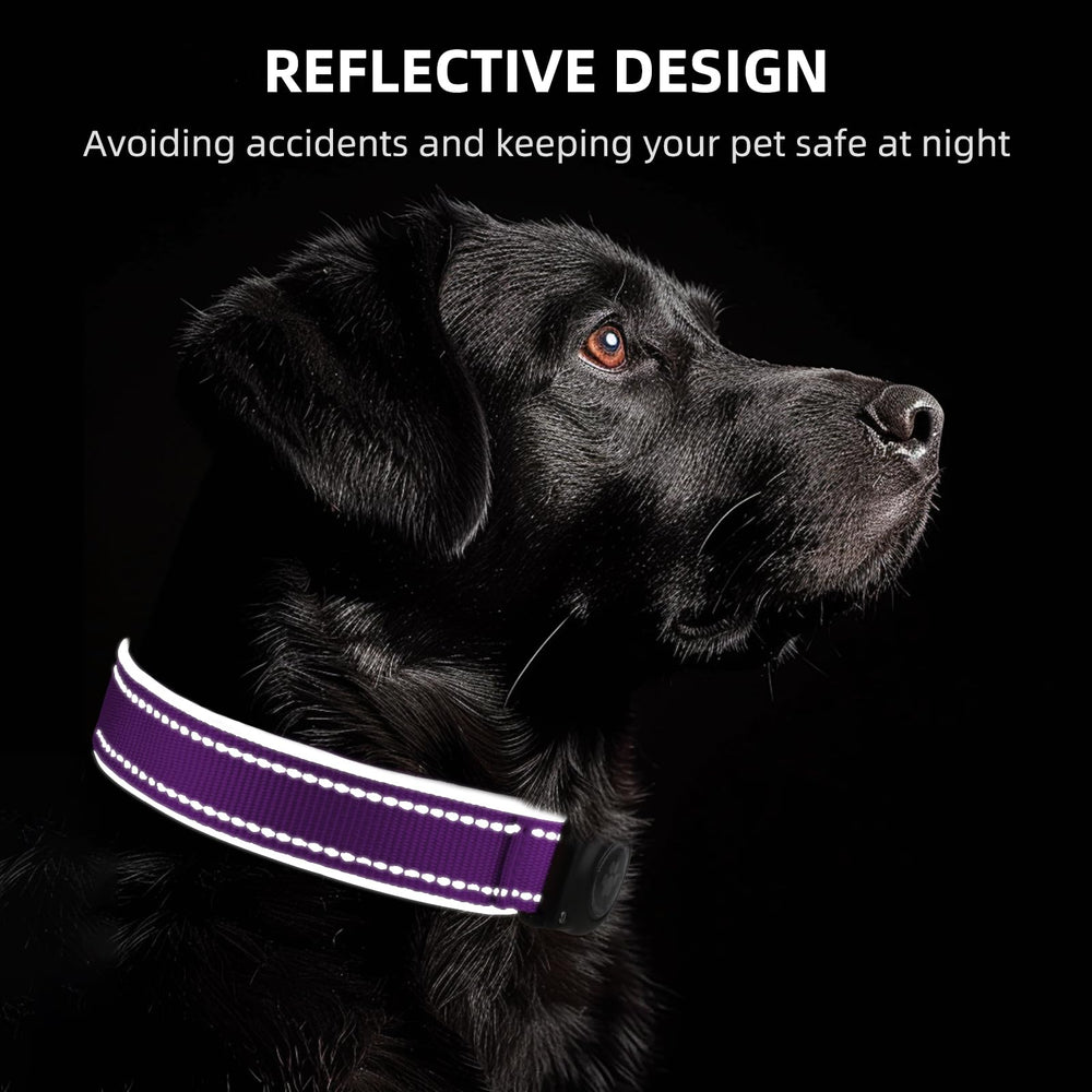 Furrigo AirTag dog collar grape-purple color with secure tracking.