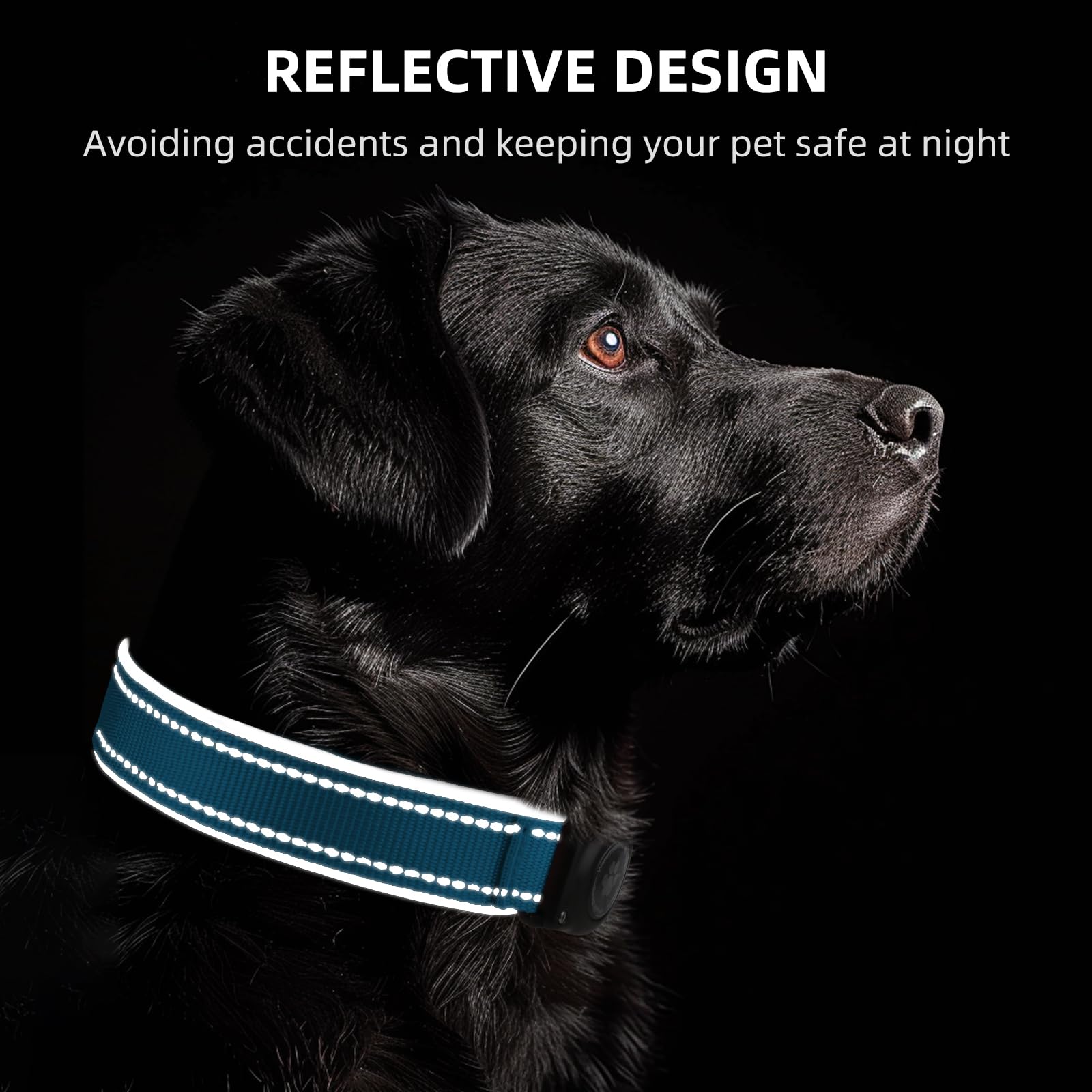 Furrigo AirTag dog collar OceanBlue adjustable buckle for a perfect fit