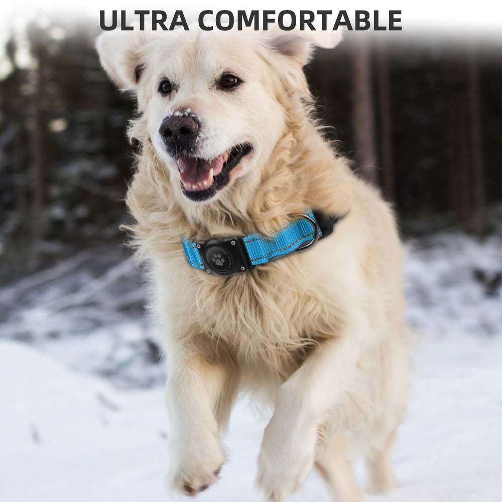 Furrigo AirTag dog collar Oceanblue soft padding supports daily wear
