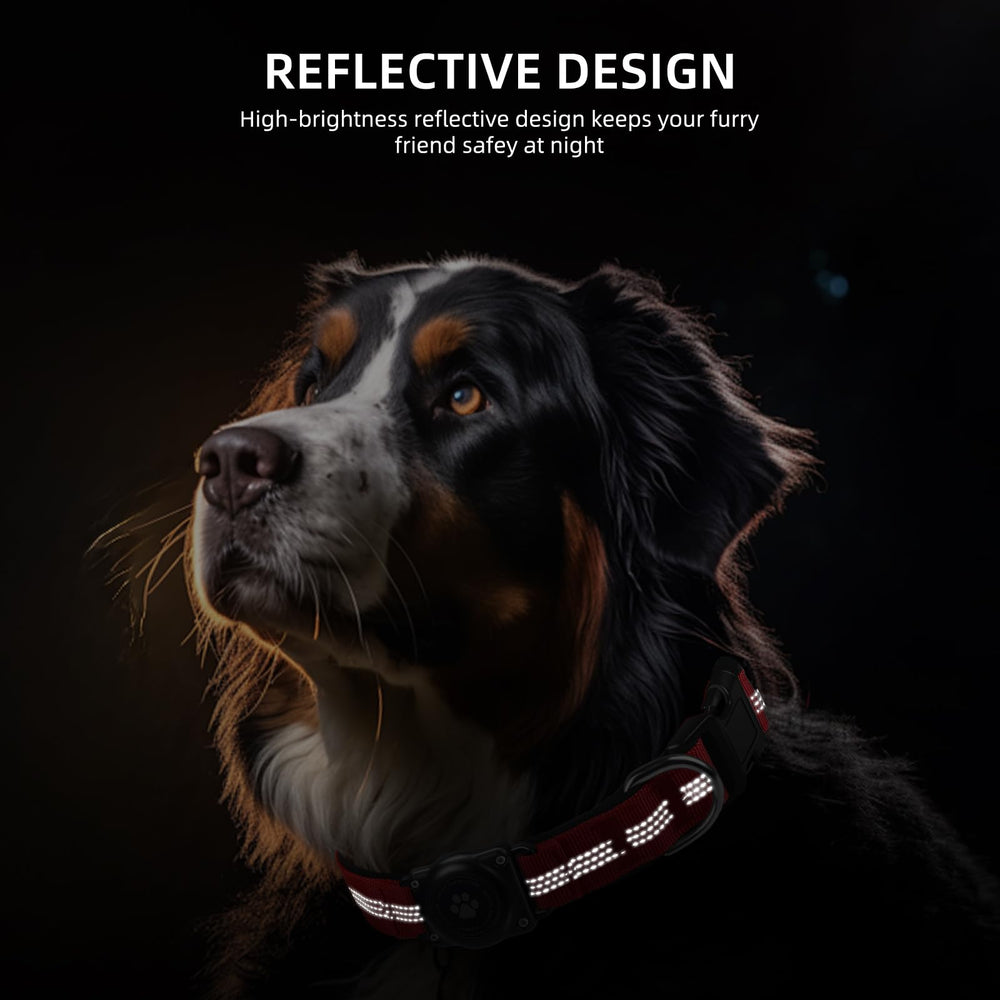 Furrigo padded collar combines durability with comfort for active dogs during daily adventures.
