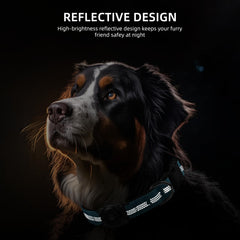 Furrigo AirTag Dog Collar durable padding adds everyday comfort