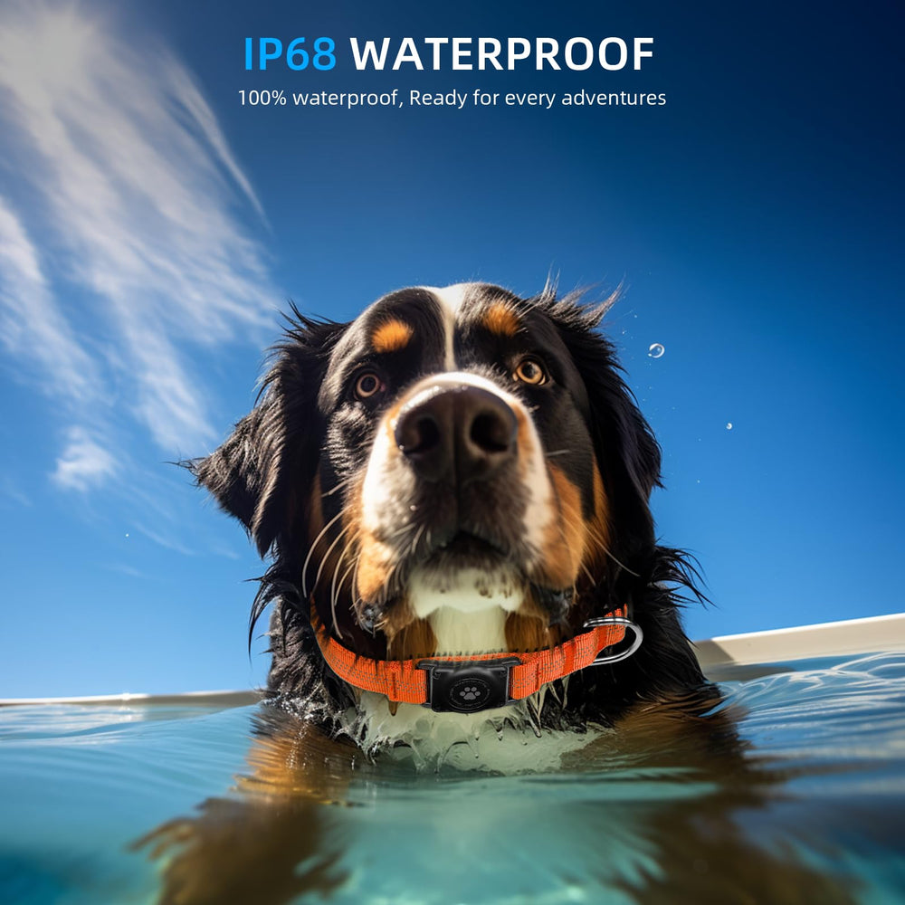 Furrigo AirTag dog collar waterproof enclosure demonstrates 100% waterproof design