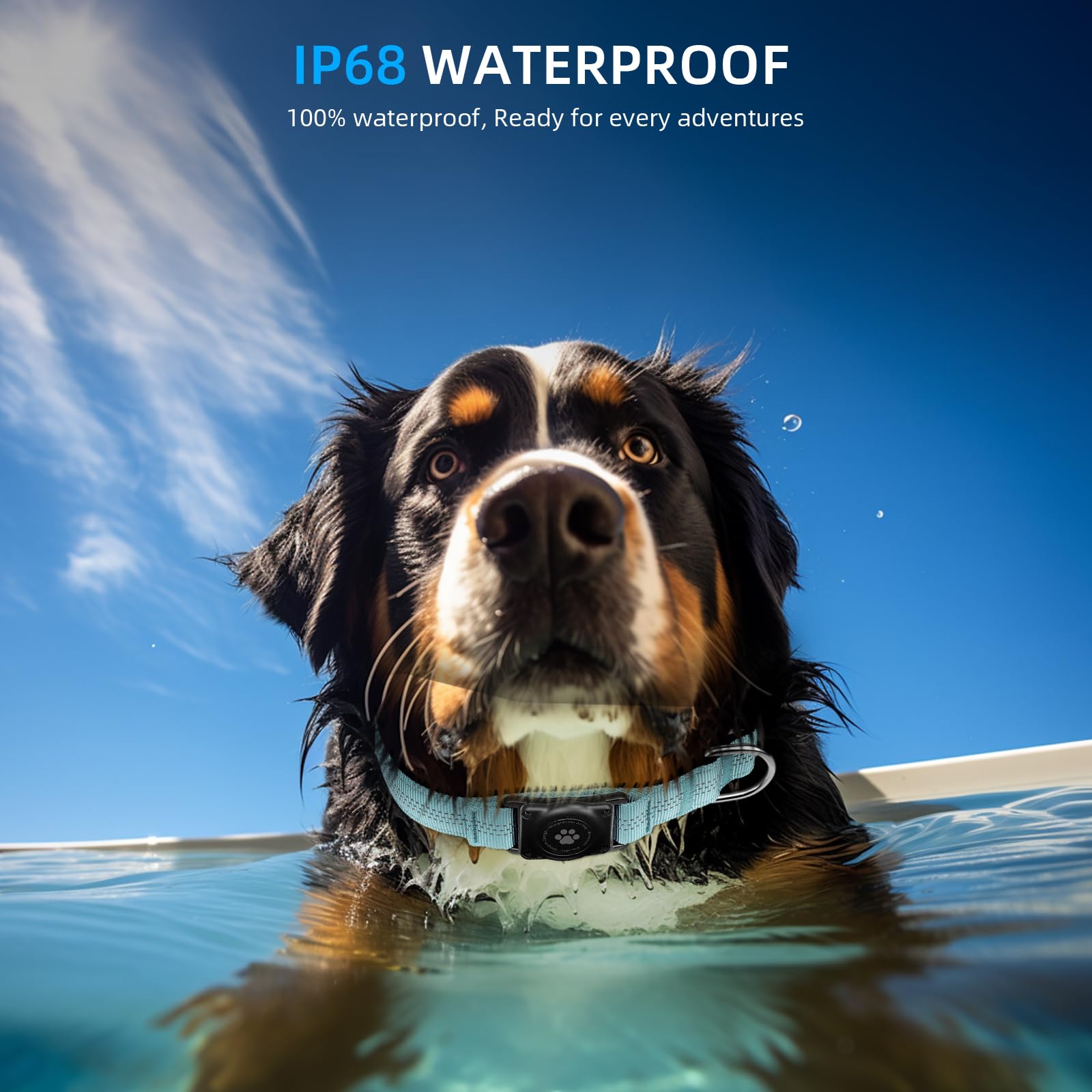 Furrigo AirTag Dog Collar waterproof and dustproof protection for adventures.