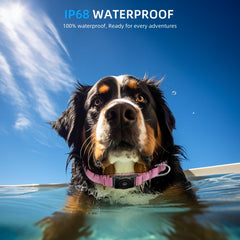 Furrigo waterproof AirTag collar demonstrates rugged, dustproof protection during adventures.