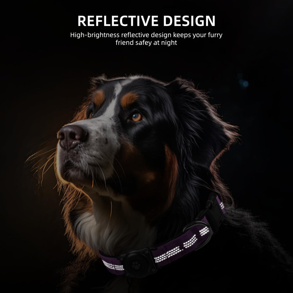Furrigo dog collar with reflective stitches for safer nighttime walks.