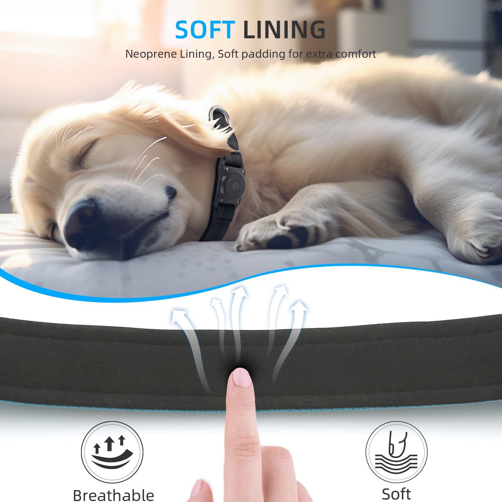 Furrigo collar available in five sizes to fit growing dogs