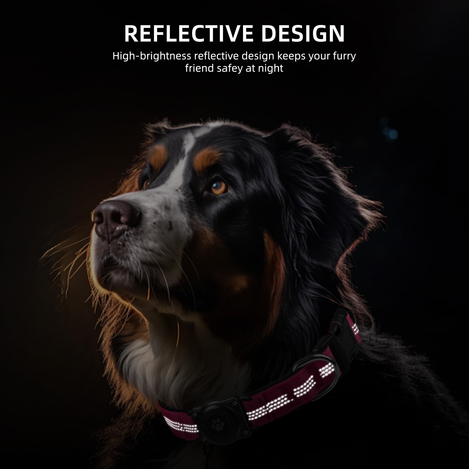Furrigo heavy-duty durable collar built for active dogs and long-lasting use.
