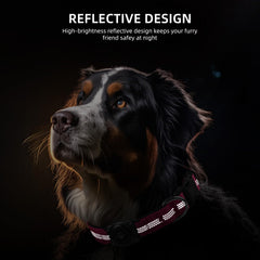 Furrigo heavy-duty durable collar built for active dogs and long-lasting use.