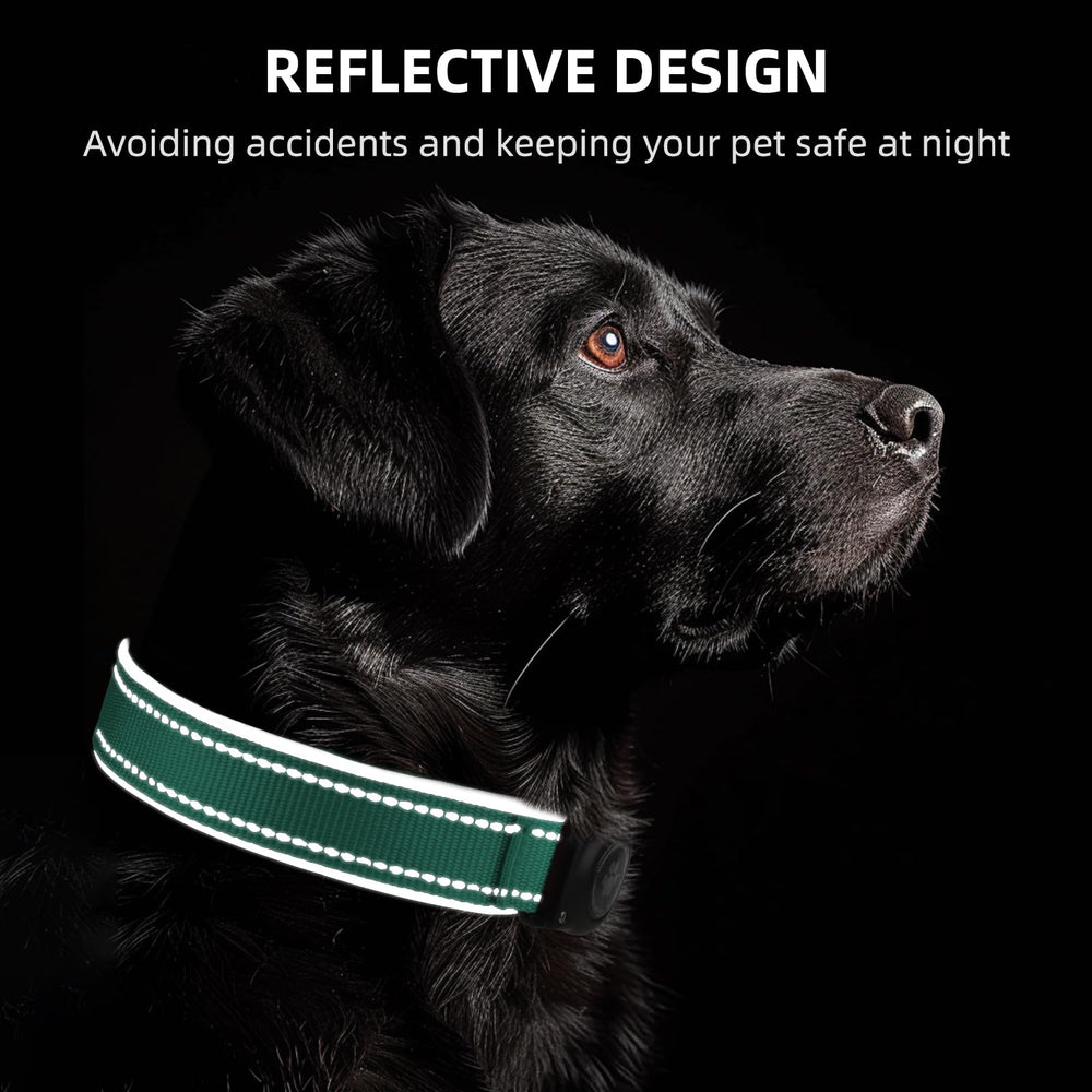 Furrigo Upgrade AirTag Collar Aqua S dog wearing the collar during activity