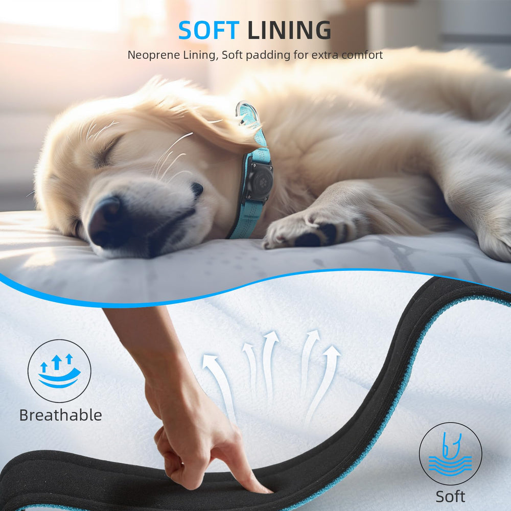 Furrigo AirTag collar offers adjustable sizing for a secure fit.